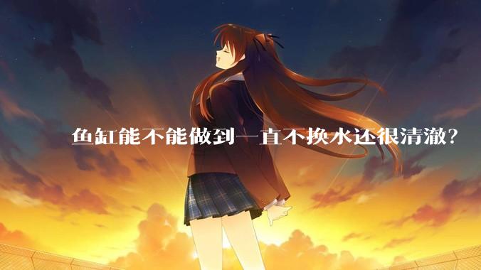 鱼缸能不能做到一直不换水还很清澈？