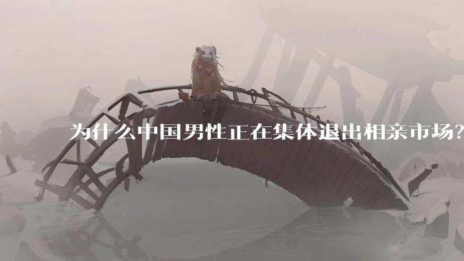为什么中国男性正在集体退出相亲市场？