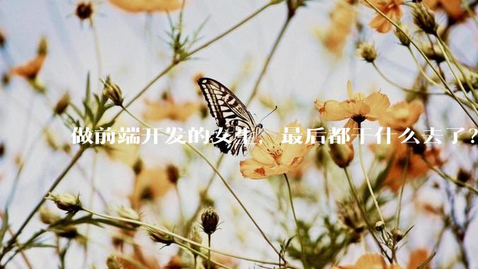 做前端开发的女生，最后都干什么去了？
