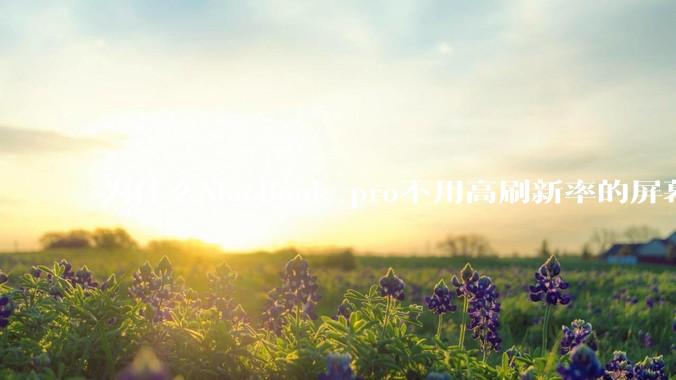 为什么MacBook pro不用高刷新率的屏幕？